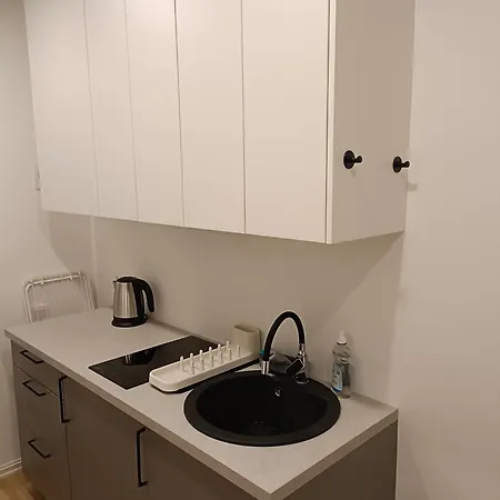 New Gray In The Center Of Apartament *