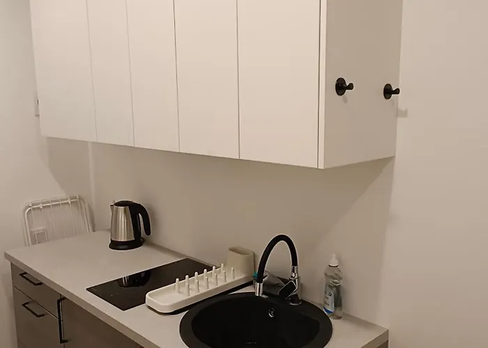 New Gray In The Center Of Dzīvoklis *