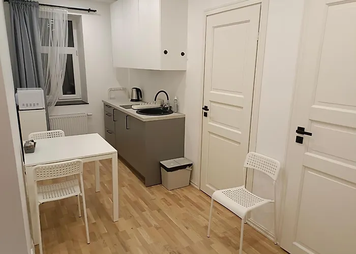 New Gray In The Center Of Apartment Riga