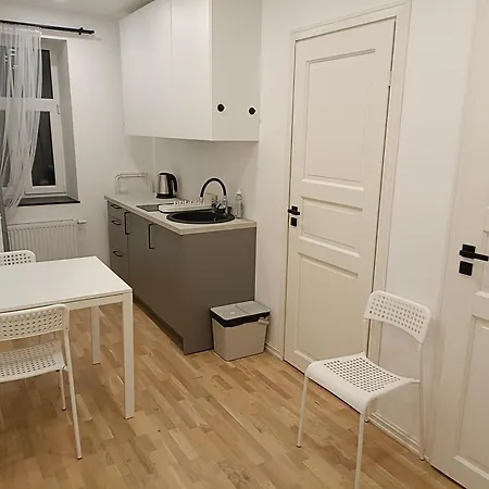 New Gray In The Center Of Appartement Riga